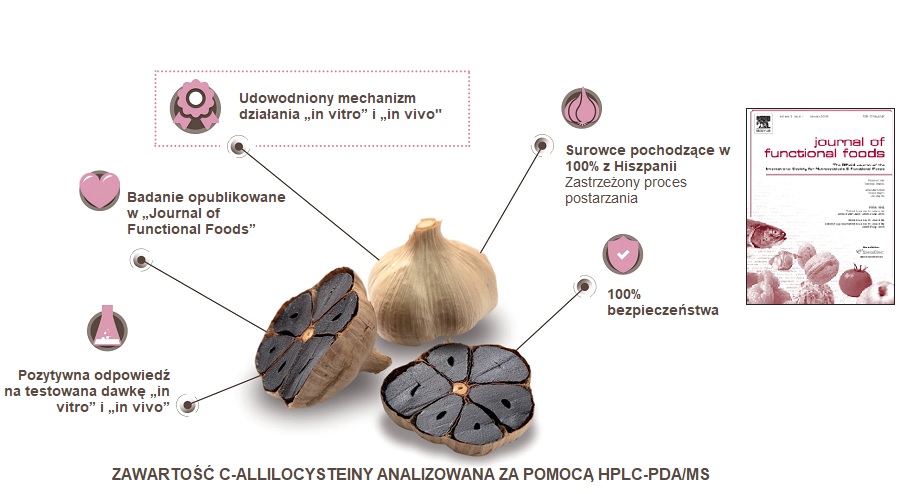 Czarny czosnek ABG10+® – badania naukowe i właściwości