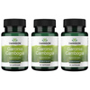 [Zestaw] 3x Swanson Garcinia Cambogia Extract 5:1 80 mg 60 kapsułek