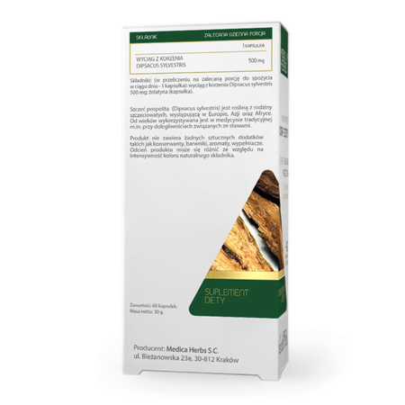 Szczeć Pospolita (Teasel Root) 500 mg (60 kaps) Medica Herbs