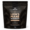 Lion's mane (Soplówka Jeżowata) Ekstrakt 10:1 (50 g) Solve Labs