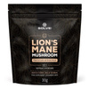 Lion's mane (Soplówka Jeżowata) Ekstrakt 10:1 (30 g) Solve Labs