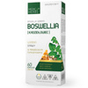 Boswellia (Kadzidłowiec) 350 mg 60 kapsułek Medica Herbs